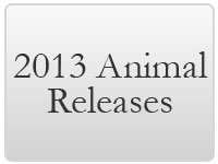 Animal 2013 Introductions