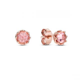 Pink Sparkling Crown Stud Earrings - Pandora Rose
