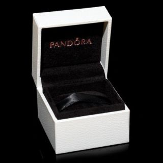 Pandora Charm Box