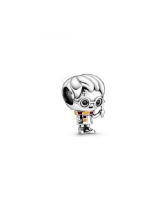 Harry Potter Harry Potter Charm